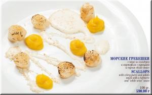 Морские гребешки фото Морские гребешки картинка