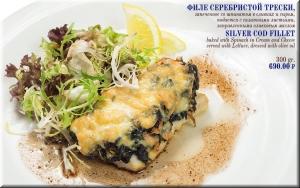 Silver Cod fillet photo Silver Cod fillet image