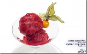 Сорбет на Выбор из: Лесных ягод фото Сорбет на Выбор из: Лесных ягод картинка