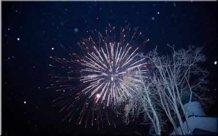 Новый год 2015 -2016 ресторан