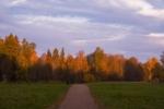 Along the paths of Mikhailovsky фото Along the paths of Mikhailovsky картинка
