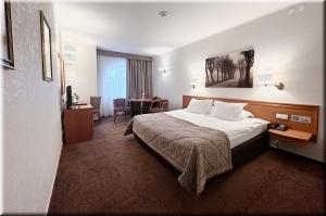 Номер Полулюкс фото Номер Полулюкс