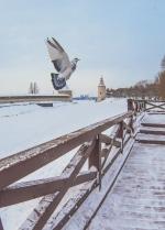 Winter is a magical time of the year! фото Winter is a magical time of the year! картинка